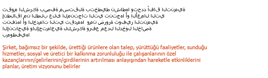 Arapça« »Türkçe Türkçe Çeviri Örneği - 265