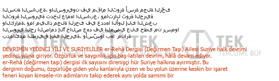 Arabe« »Turc Türkçe Çeviri Örneği - 273