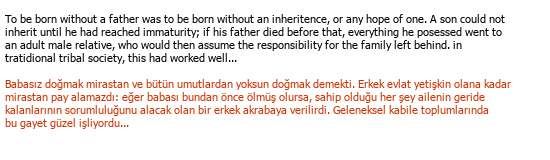 Englisch Türkisch Literarische Übersetzung Çeviri Örneği - 112