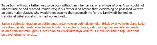 İngilizce« »Türkçe Türkçe Çeviri Örneği - 112