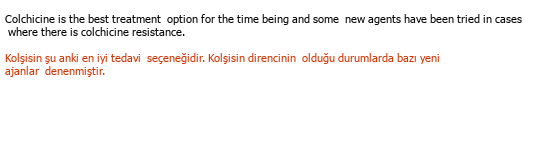 İngilizce« »Türkçe Türkçe Çeviri Örneği - 133