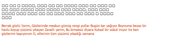 Korece« »Türkçe Türkçe Çeviri Örneği - 289