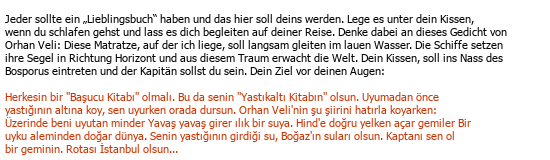 Türkisch Deutsch Literarische Übersetzung Çeviri Örneği - 40