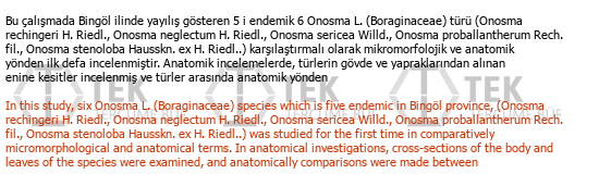 Türkçe« »İngilizce Türkçe Çeviri Örneği - 336