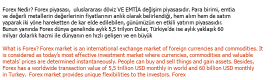 Türkçe« »<i></i>İngilizce