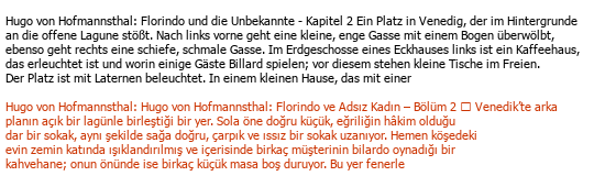 Allemand Turc Traduction littéraire Çeviri Örneği - 178
