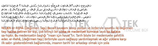 Arapça Türkçe Toplum Bilimi Tercümeleri Çeviri Örneği - 272