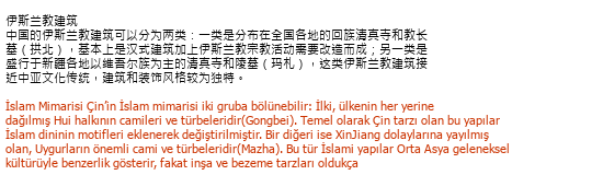 Chinese Turkish Technical Translation Çeviri Örneği - 97