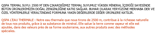 Fransızca Türkçe Teknik Çeviri - 4