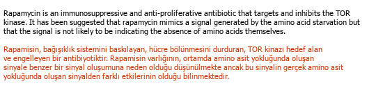 Englisch Türkisch Akademische Übersetzung Çeviri Örneği - 174