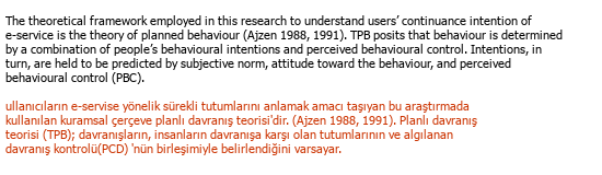 English Turkish Academic Translation Çeviri Örneği - 9