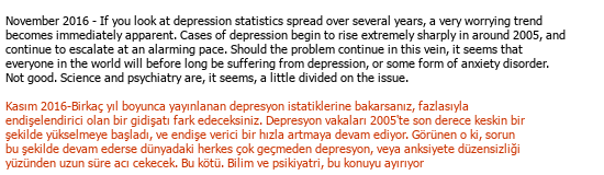 English-Turkish Other / General translation
