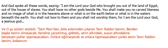 Anglais Turc Traduction littéraire Çeviri Örneği - 136