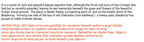 İngilizce Türkçe Edebi Tercüme Çeviri Örneği - 305