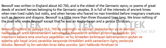 English Turkish Financial Translation Çeviri Örneği - 138