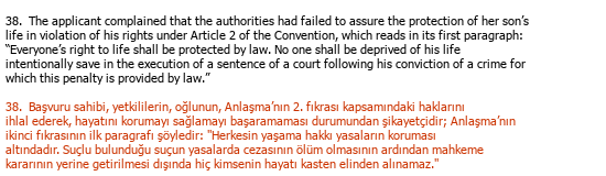Englisch Türkisch Juristische Übersetzung Çeviri Örneği - 221