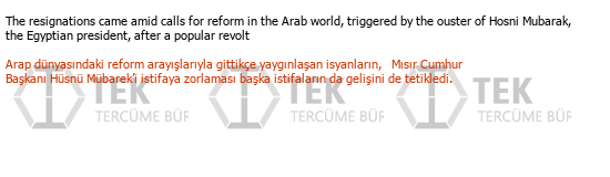 English Turkish Social Sciences Translations Çeviri Örneği - 11
