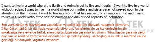 İngilizce Türkçe Toplum Bilimi Tercümeleri Çeviri Örneği - 182