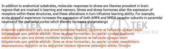 İngilizce Türkçe Toplum Bilimi Tercümeleri Çeviri Örneği - 42