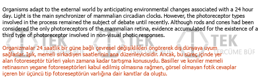 İngilizce Türkçe Toplum Bilimi Tercümeleri Çeviri Örneği - 43