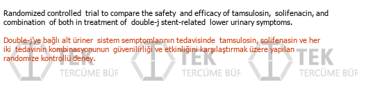 İngilizce Türkçe Toplum Bilimi Tercümeleri Çeviri Örneği - 90