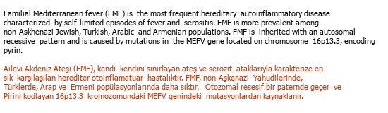 İngilizce Türkçe Medikal Çeviri - 131