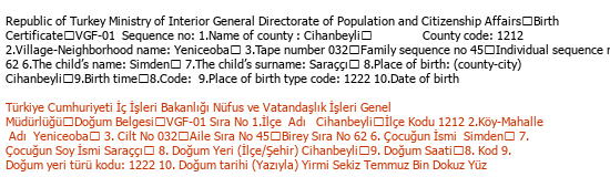 English Turkish Medical Translation Çeviri Örneği - 165