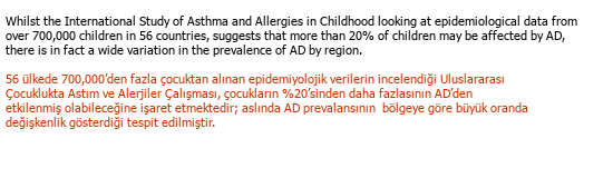 İngilizce Türkçe Medikal Çeviri - 302