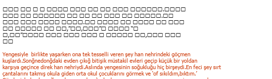 Koreanisch Türkisch Literarische Übersetzung Çeviri Örneği - 300