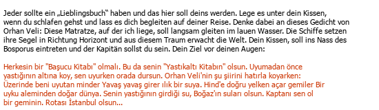 Turc Allemand Traduction littéraire Çeviri Örneği - 40