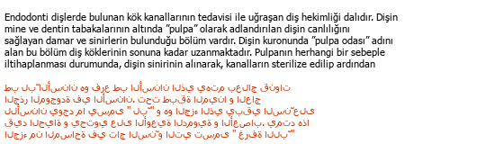 Turkish Arabic Medical Translation Çeviri Örneği - 239