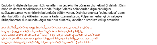 Türkisch Arabisch Medizinische Übersetzung Çeviri Örneği - 239