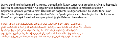 Turc Arabe Traductions touristiques Çeviri Örneği - 240