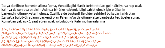 Türkçe Arapça Turizm Tercümeleri Çeviri Örneği - 240