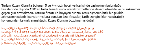 Turc Arabe Traductions touristiques Çeviri Örneği - 243