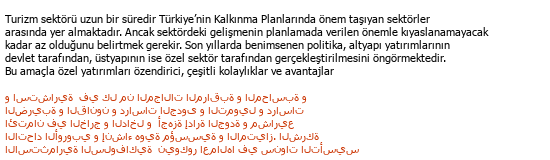 Turkish Arabic Tourism Translations Çeviri Örneği - 264