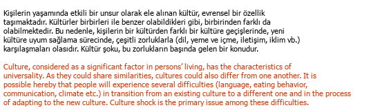 Türkçe İngilizce Akademik Tercüme Örneği - 166