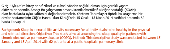 Turkish English Medical Translation Çeviri Örneği - 261